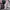 VANS Indie Casual Sneakers Wanita white black photo 6
