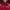 ZIPPER HODIE ABERCROMBIE SHERPA  photo 2