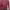 Atasan Maroon  photo 2