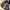 Birkenstock Arizona Black size 42 photo 4