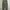 UNIQLO CARGO PANTS