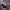 Adidas Streetwear Casual Casual shoe Pria burgundy photo 2