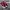 Adidas Streetwear Casual Casual shoe Pria burgundy photo 1