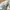 Karl Kani Casual Jeans Pria white photo 6