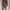 NEW - One Set Floral photo 1