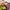 NEW - One Set Floral photo 5