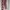 NEW - One Set Floral photo 6