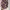NEW - One Set Floral photo 4