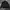 Adidas Jacket Mts Woven Black photo 1