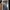 Iphone 16 Pro 256 GB Black Titanium photo 1
