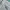 Armani	 Casual Polo shirt Pria green photo 4