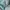 Armani	 Casual Polo shirt Pria green photo 5