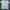 Armani	 Casual Polo shirt Pria green photo 1