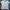 Armani	 Casual Polo Shirt Pria Green