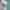 Armani	 Casual Polo shirt Pria green photo 3