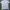 Armani	 Casual Polo shirt Pria green photo 2