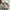 Converse X-Off White Vulcanized  photo 7