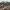 Longsleve Carhartt RealTree Pocket photo 3