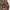 Longsleve Carhartt RealTree Pocket photo 2