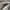 adidas 3MC Vulc FULL WHITE photo 5