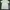 Armani	 Sportswear Casual T-shirt Wanita green photo 2