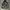 Adidas Reversible Batte Tracktop photo 1