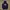 ❤️‍🔥 Hoodie Dickies Navy Velvet ❤️‍🔥