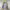 LAFUMA GORETEX JACKET photo 5