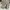 Sneakers nike Kaishi black photo 4