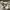 HOODIE SANTA CRUZ SKATEBOARDS LOGO ICON photo 4