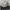 NB 1906 photo 2