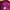 Uniqlo Coquette Casual Fur coat Wanita pink photo 2