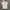 Burberry Casual T-shirt Pria white photo 1