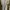 Zara Babydoll dress Wanita tan photo 2
