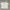 Zara White Polo Shirt