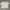 Zara White Polo Shirt photo 1