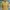 Black Diamond Sportswear Minimalist Windbreaker Pria gold tan photo 2