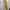 Black Diamond Sportswear Minimalist Windbreaker Pria gold tan photo 4