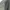 Flight Jacket Harrington Casual Mad Station photo 6