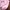 cardigan bolero baby pink photo 2