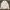 Sweater Pria white photo 1