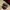 K-Products John Deere Brown Women's Hat W/ Pink floral Desig photo 6