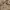 Knitwear Beige photo 4