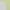 Lolita Fairy Cami top Wanita multicolor white photo 2