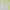 Lolita Fairy Cami top Wanita multicolor white photo 3