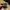 Lucky Brand Hats Floral Print Suede Visor photo 5