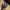 Lucky Brand Hats Floral Print Suede Visor photo 3