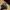 Lucky Brand Hats Floral Print Suede Visor