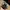 Lucky Brand Hats Floral Print Suede Visor photo 4