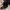 Lucky Brand Hats Floral Print Suede Visor photo 7